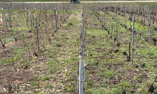 Terrain  700 m² à vendre à Connigis (02330)