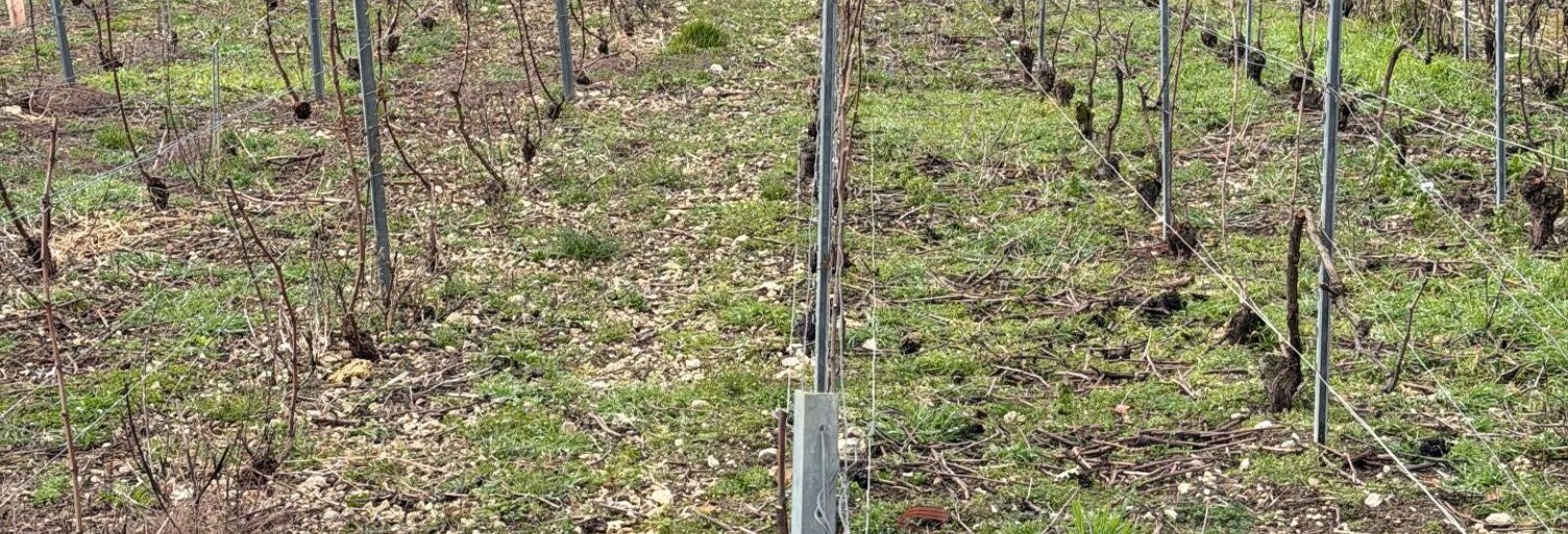 Terrain  700 m² à vendre à Connigis (02330)