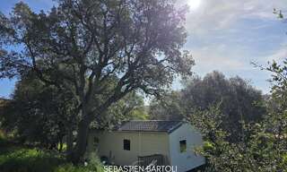 Maison 6 Pièces 109 m² à vendre à Zonza (20144)