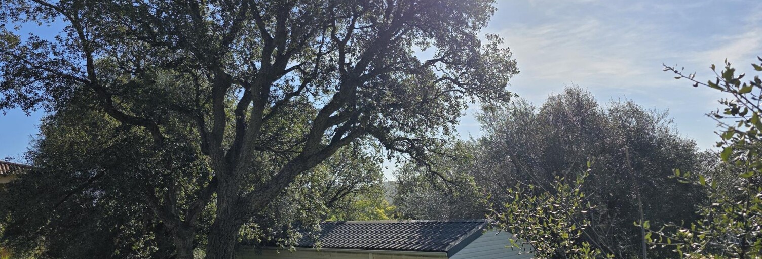 Maison 6 Pièces 109 m² à vendre à Zonza (20144)