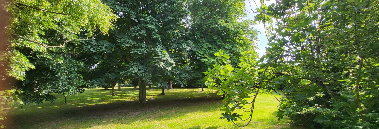 Maison 10 Pièces 260 m² à vendre à Châtellerault (86100)