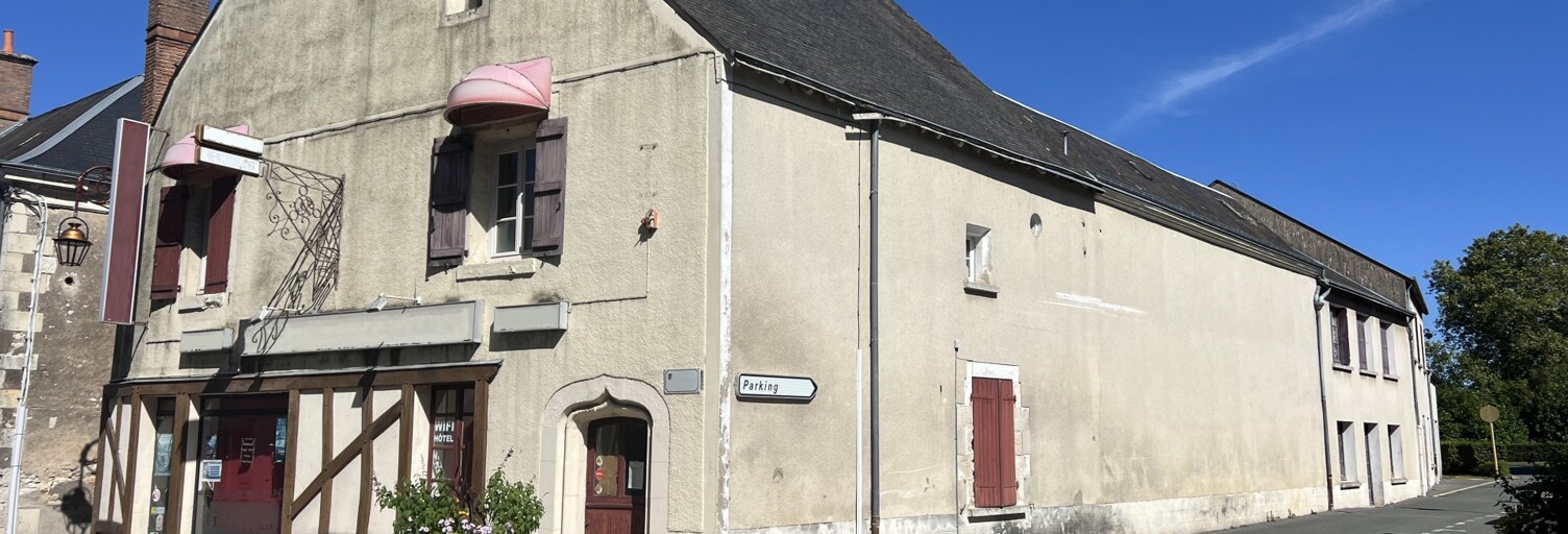 Maison 14 Pièces 356 m² à vendre à Chémery (41700)