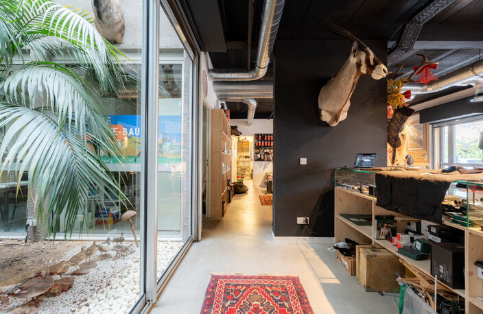 SHOWROOM 133 — photo 3