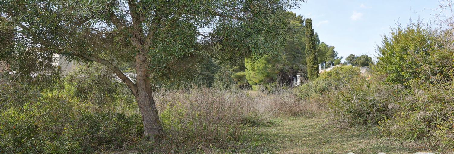 Terrain  2716 m² à vendre à Poussan (34560)