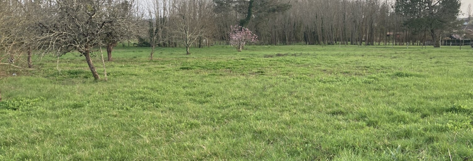 Terrain  750 m² à vendre à Landiras (33720)