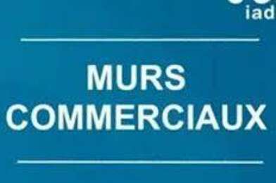 Divers  495000 €