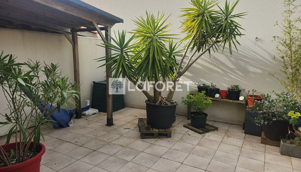 Villa / Maison 3 pièces  à vendre Saint-Pierre-d'Oléron 17310