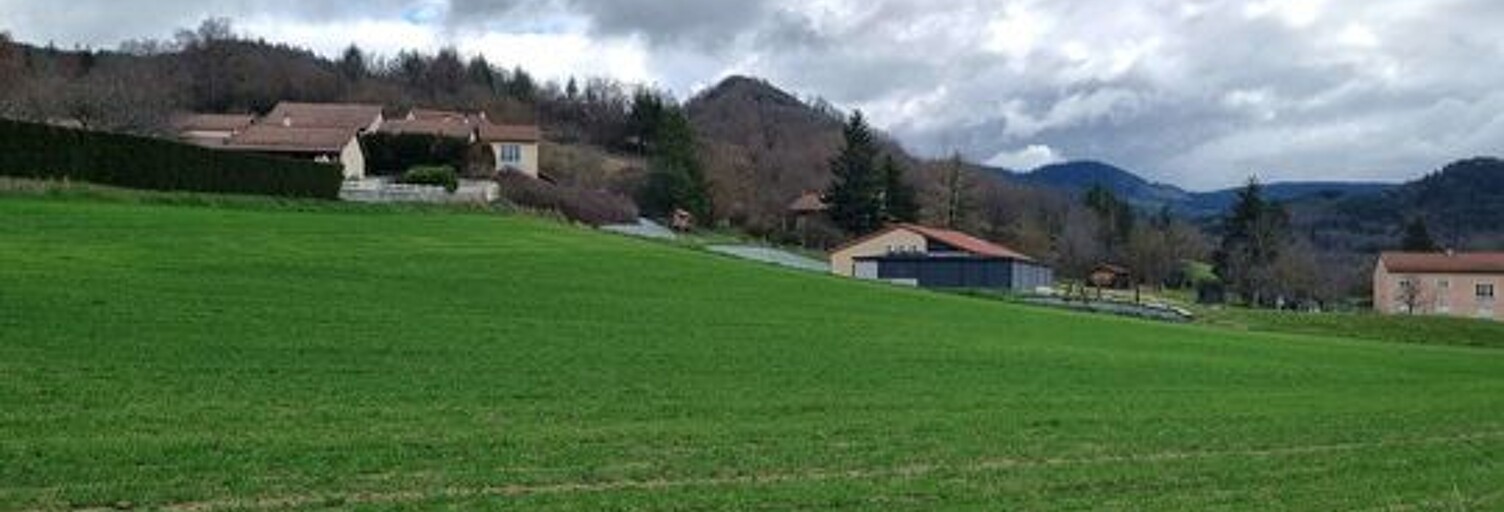 Terrain   m² à vendre à Rosières (43800)