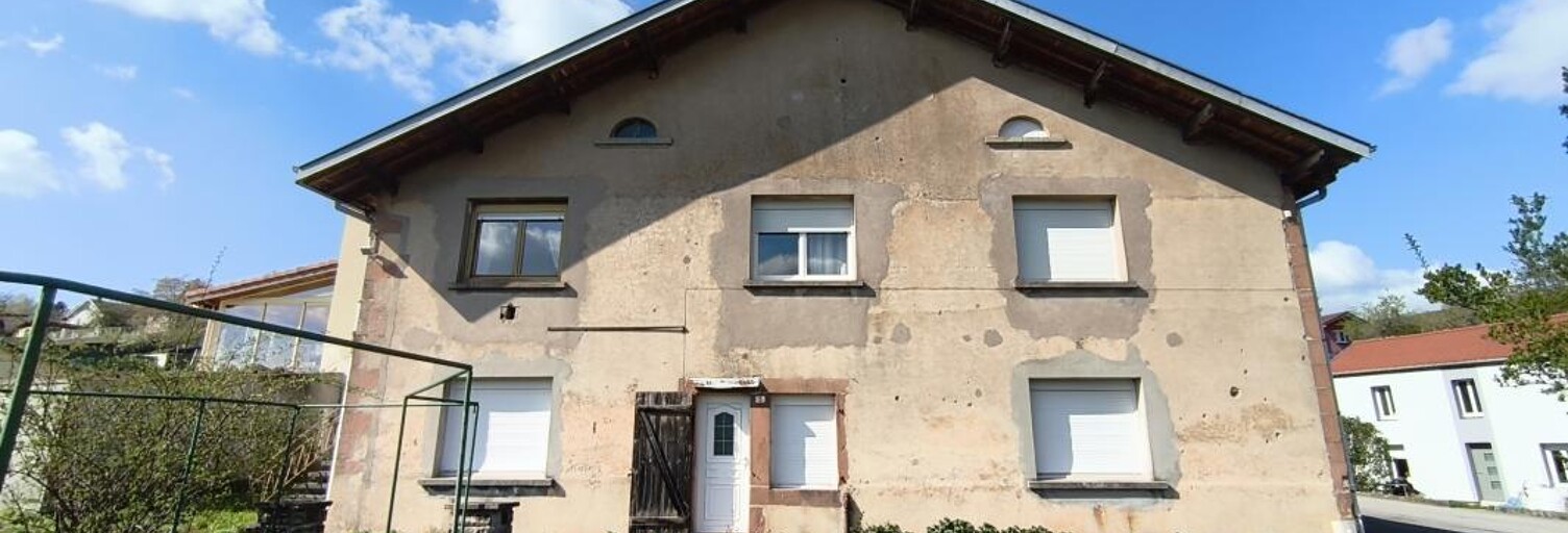 Maison 7 Pièces 228 m² à vendre à Lépanges-sur-Vologne (88600)