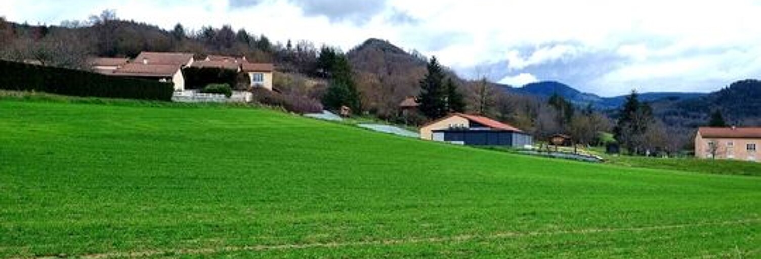 Terrain   m² à vendre à Rosières (43800)