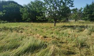 Terrain  600 m² à vendre à Saint-Pardon-de-Conques (33210)