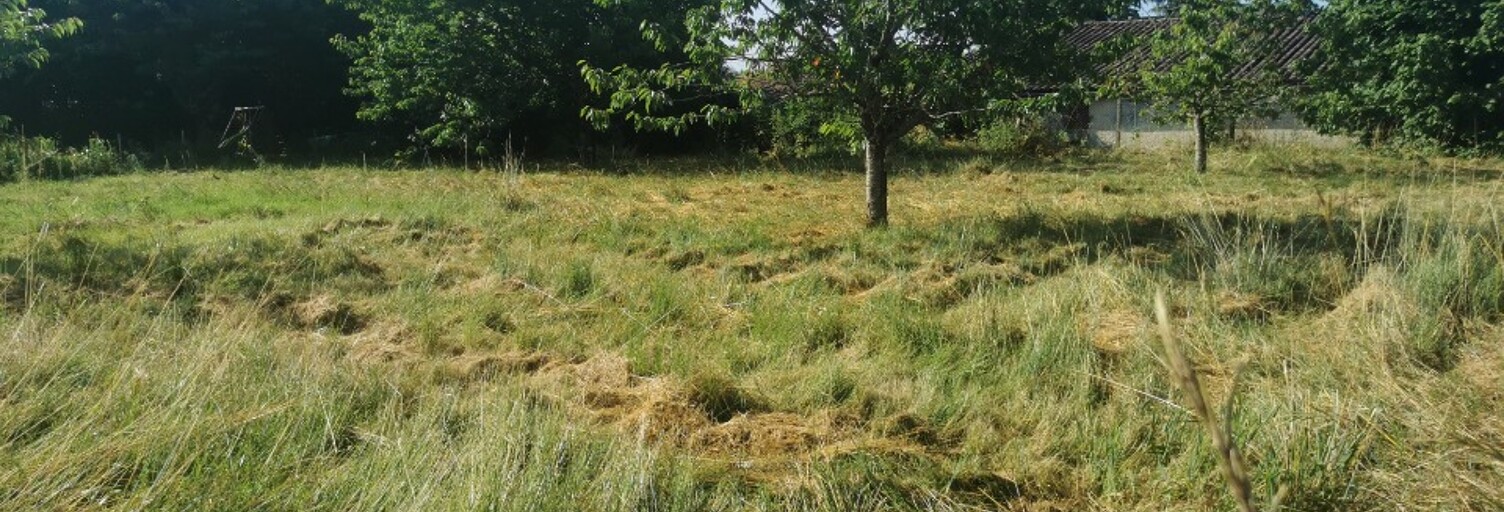 Terrain  600 m² à vendre à Saint-Pardon-de-Conques (33210)