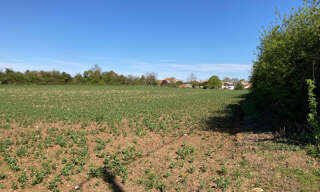 Terrain  2247 m² à vendre à Champagnolles (17240)