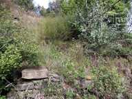 A vendre immeuble sur 4 niveaux avec jardin — photo 2