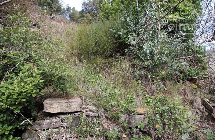A vendre immeuble sur 4 niveaux avec jardin — photo 2