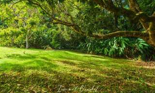 Terrain  887 m² à vendre à Petit-Bourg (97170)