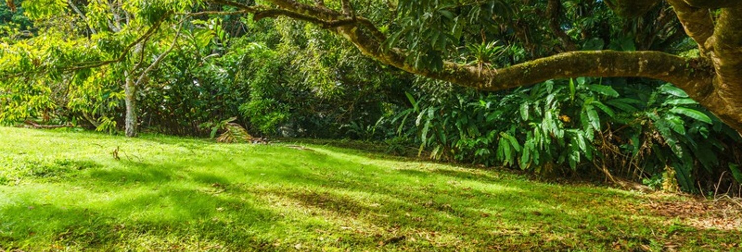 Terrain  887 m² à vendre à Petit-Bourg (97170)