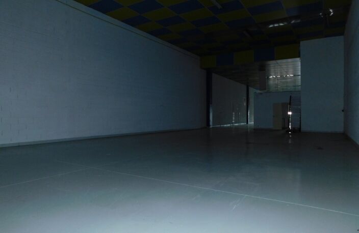 Dpt Meurthe et Moselle (54), à louer MAXEVILLE Entrepots et Bureaux 564 m2 — photo 4