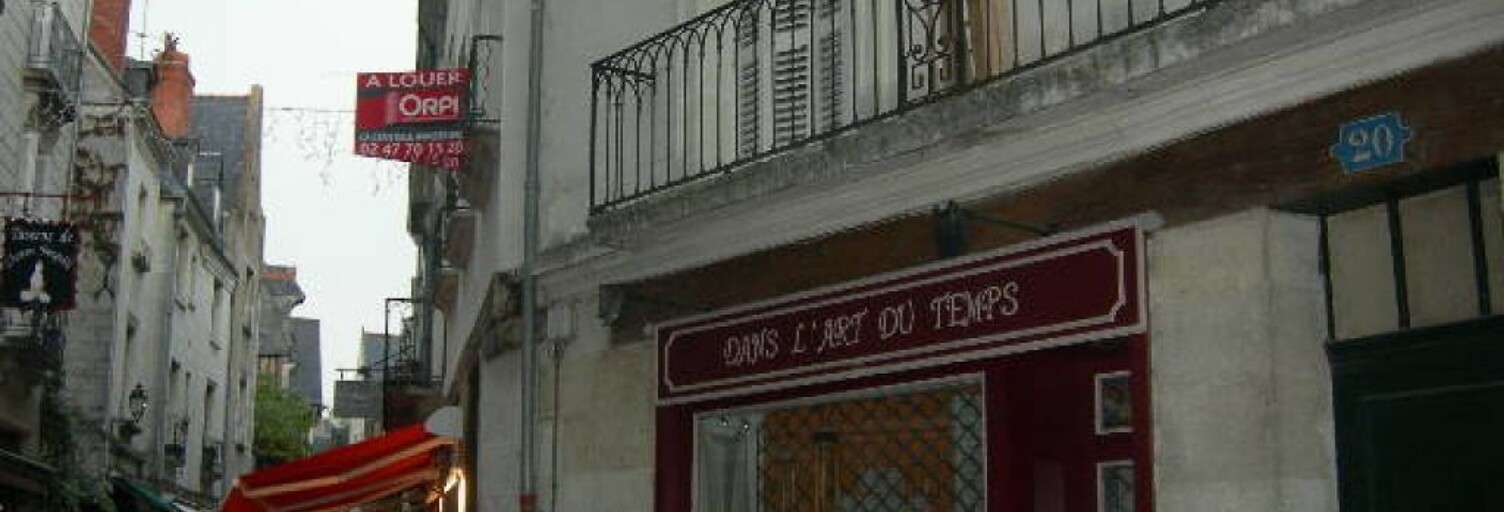 Appartement 1 Pièce 22 m² à louer à Tours (37000)