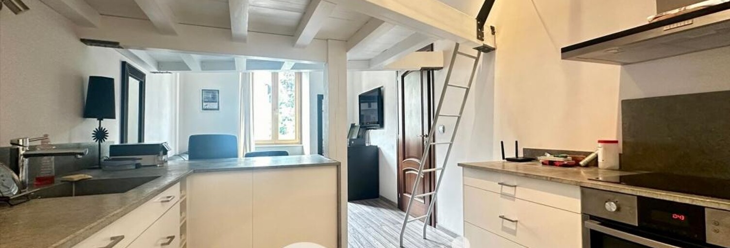 Appartement 1 Pièce 27 m² à louer à La Terrasse (38660)