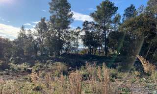Terrain 1200 m² à construire Montfort-sur-Argens (83570)