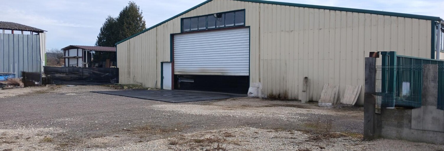 Local industriel  600 m² à vendre à Vesoul (70000)