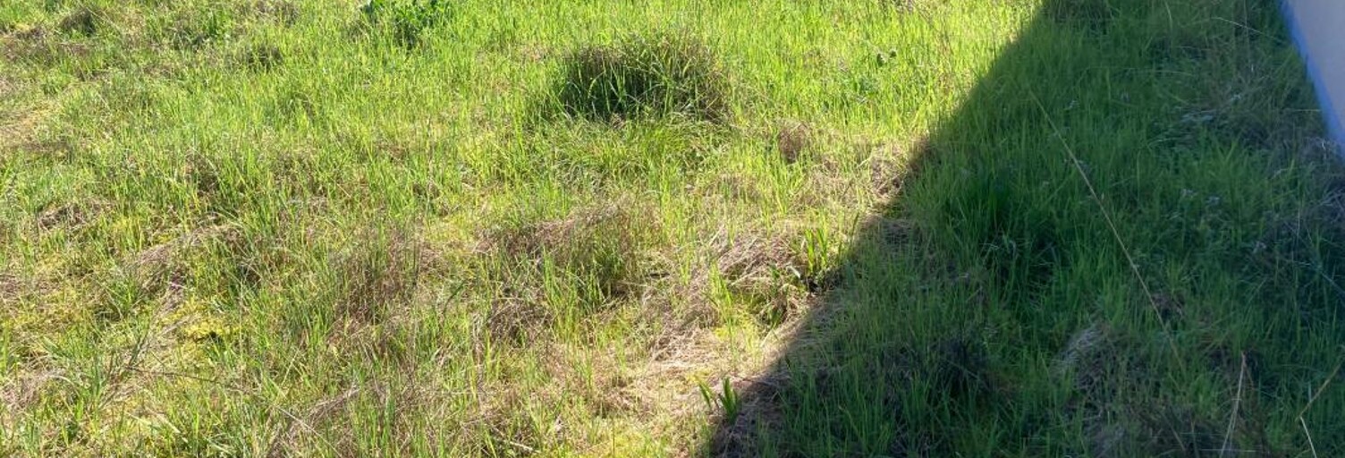 Terrain 225 m² à construire Biscarrosse (40600)