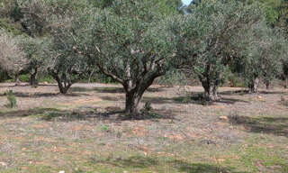 Terrain  6140 m² à vendre à Beauvoisin (30640)