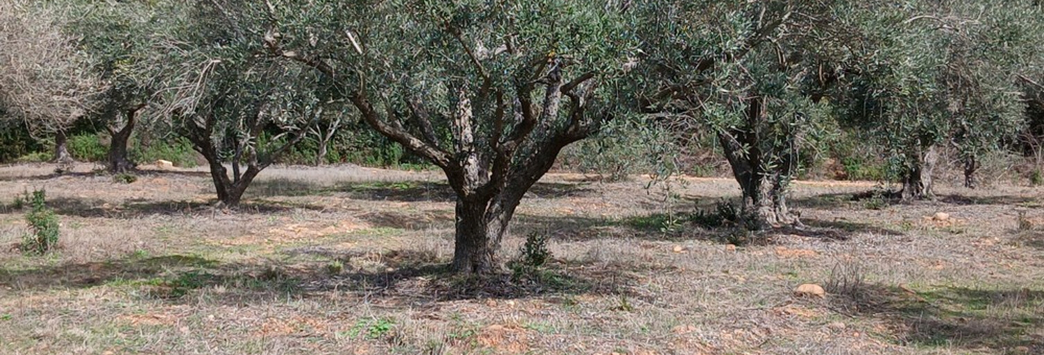 Terrain  6140 m² à vendre à Beauvoisin (30640)