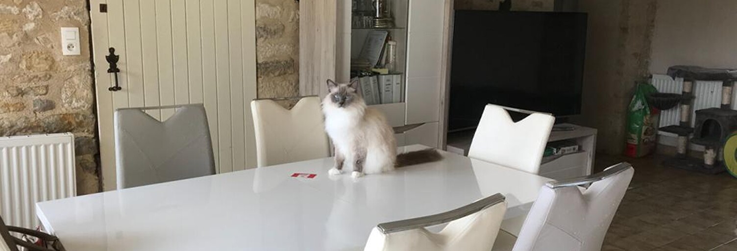 Maison 11 Pièces 296 m² à vendre à La Caillère-Saint-Hilaire (85410)