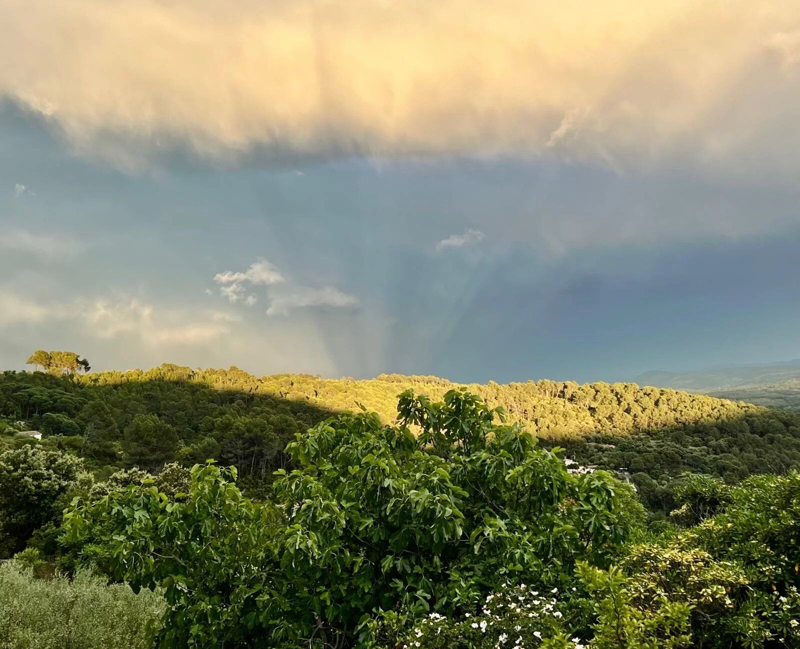 Villa / Maison  T5 à vendre Cotignac 83570