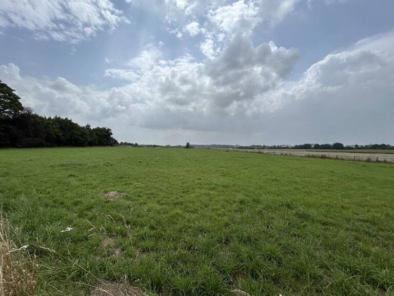 Terrain à construire  8000 m²  — photo 1