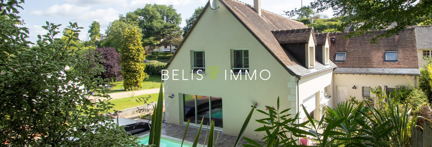 Maison 9 Pièces 206 m² à vendre à Lussault-sur-Loire (37400)