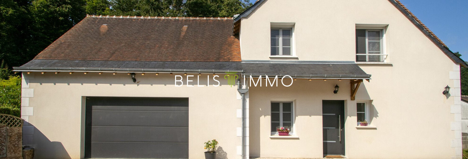Maison 9 Pièces 206 m² à vendre à Amboise (37400)