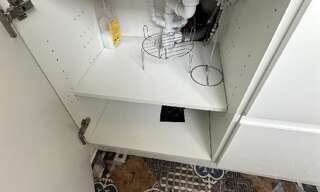 Appartement 1 Pièce 19 m² à louer à Le Mans (72100)