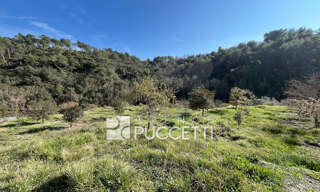 Terrain  8995 m² à vendre à Vence (06140)