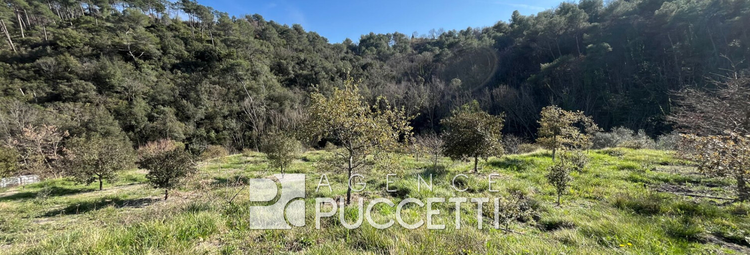 Terrain  8995 m² à vendre à Vence (06140)