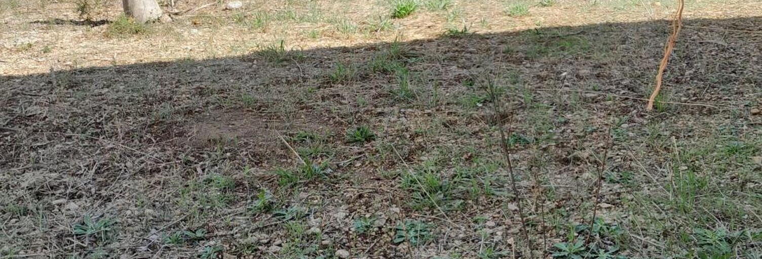 Terrain  340 m² à vendre à Frontignan (34110)