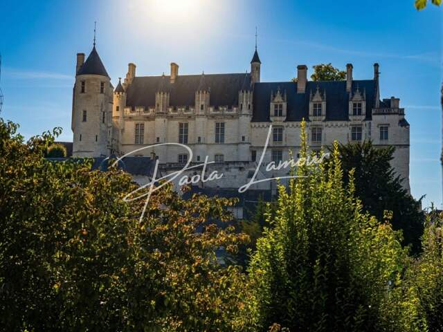 Maison avec vue exceptionnelle en centre Loches — photo du bien