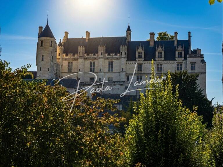 Maison avec vue exceptionnelle en centre Loches — photo 1