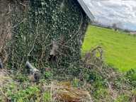 Terres agricoles avec puit et pompe — photo 2