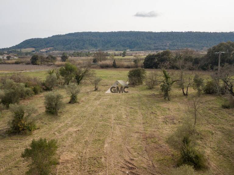 Terrain en lotissement — photo 1