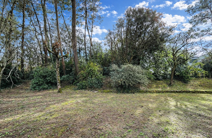 MAISON VUE PINEDE — photo 4
