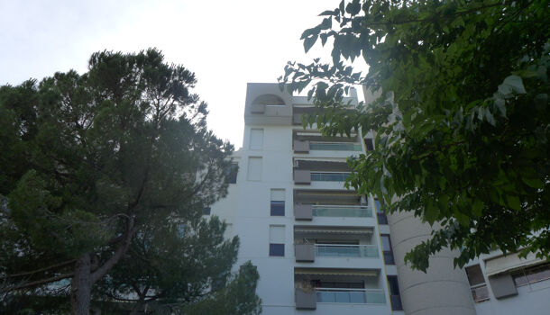 Appartement 2 pièces  à louer Montpellier 34090