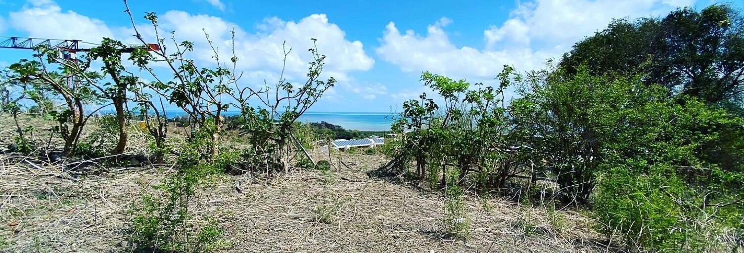 Terrain  1717 m² à vendre à Koungou (97600)