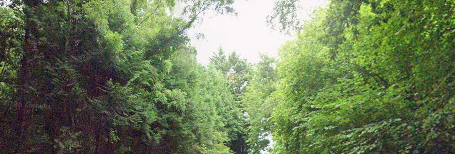 Terrain  6045 m² à vendre à Froberville (76400)