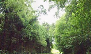 Terrain  6045 m² à vendre à Froberville (76400)