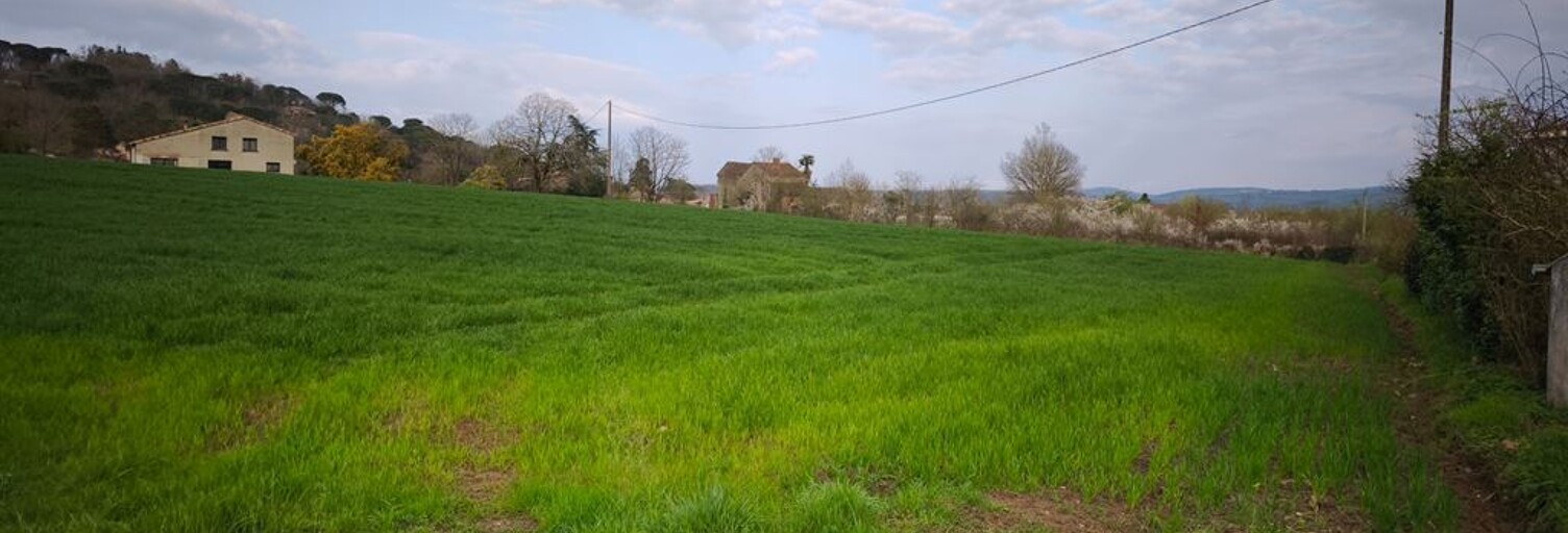 Terrain  33553 m² à vendre à Réalmont (81120)