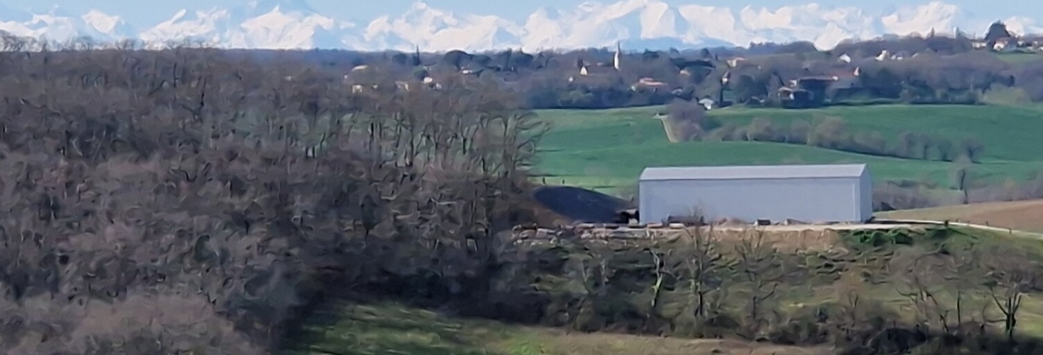 Photo N° 2