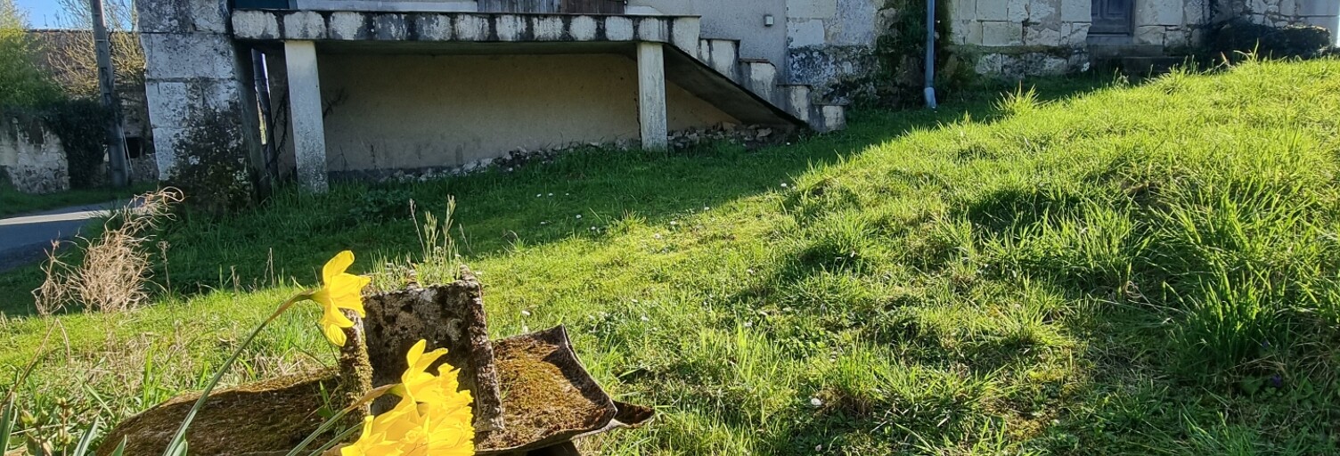 Photo N° 2